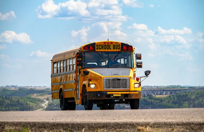 Cuscinetti automobilistici DSBR utilizzati nel mercato degli autobus