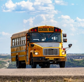 Cuscinetti automobilistici DSBR utilizzati nel mercato degli autobus